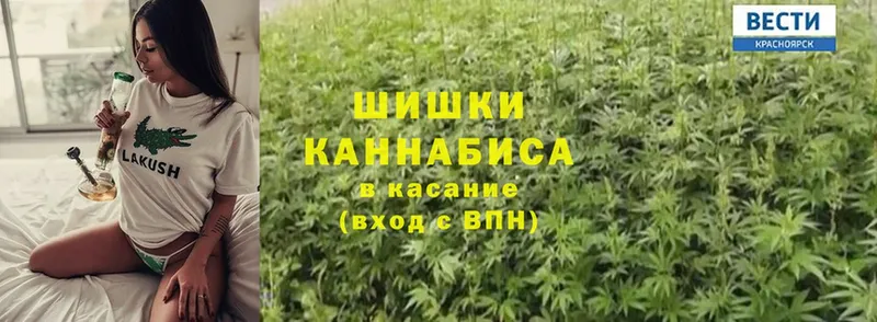 Бошки марихуана сатива  blacksprut ССЫЛКА  Ивдель  даркнет сайт 